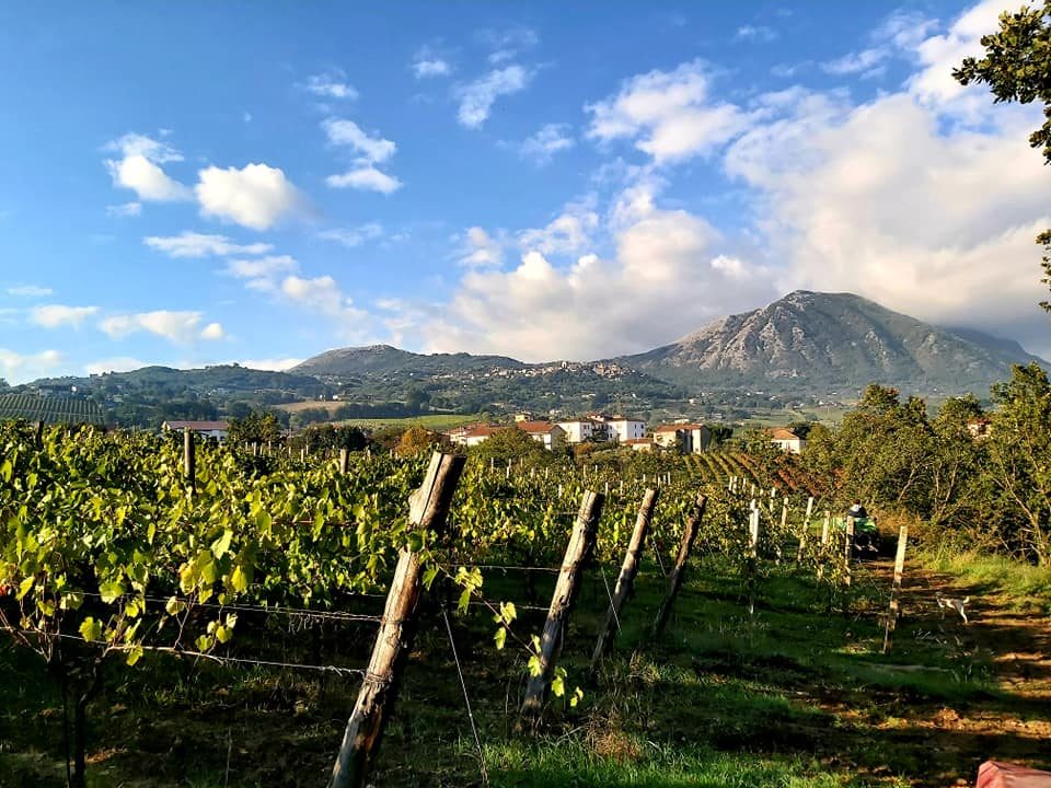 Vigneti Monte Taburno